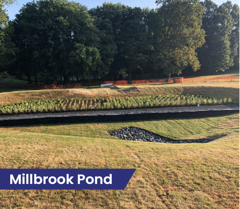 Home NARDI Construction